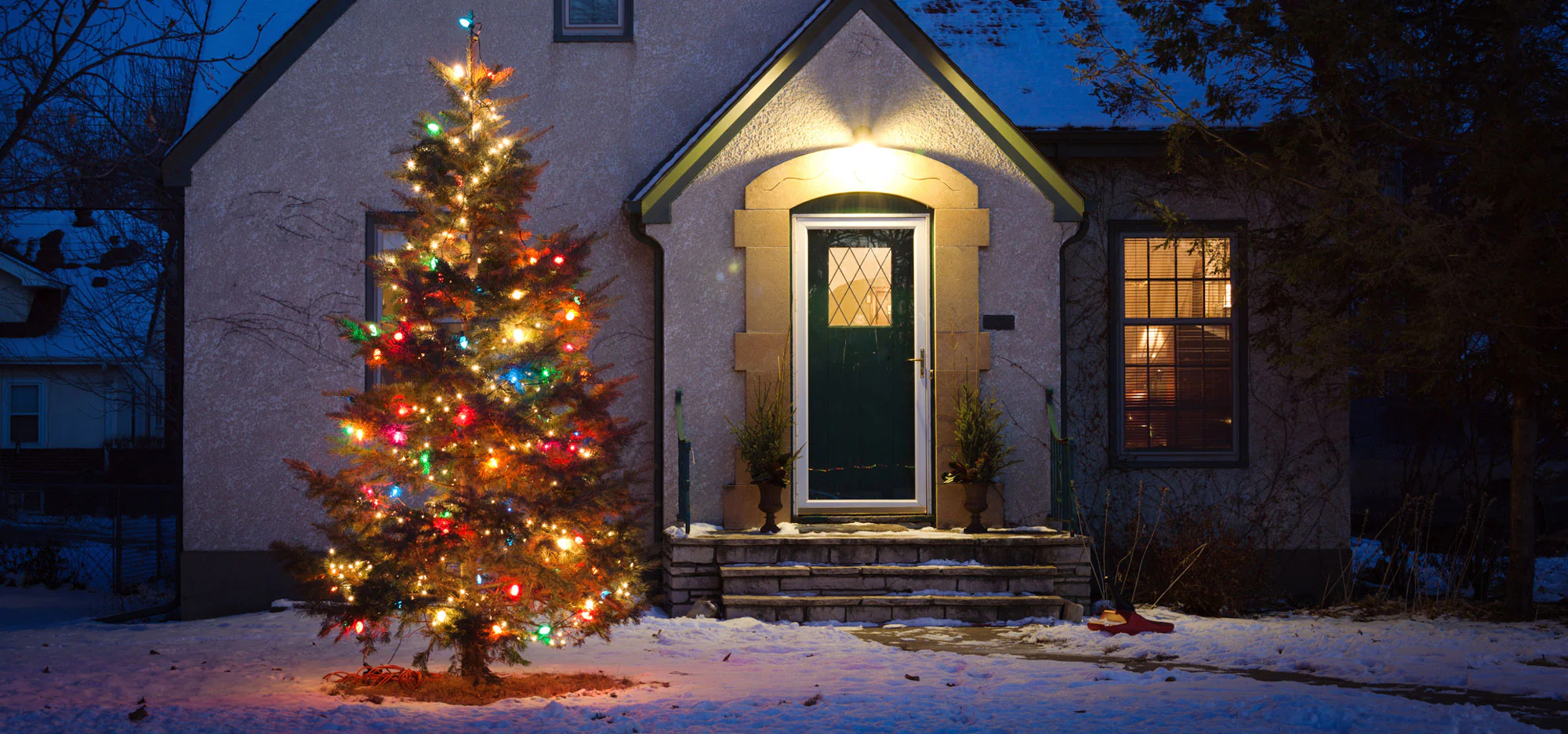 The Ultimate Guide to Christmas Trees Styles, Farms, and Festive Ideas