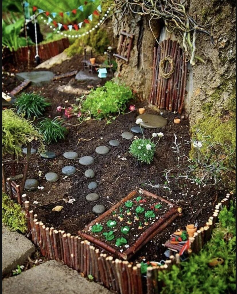 Fairy Garden ideas