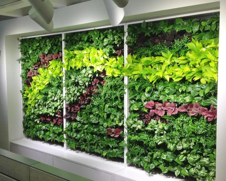 Use Vertical Space for a Green Oasis