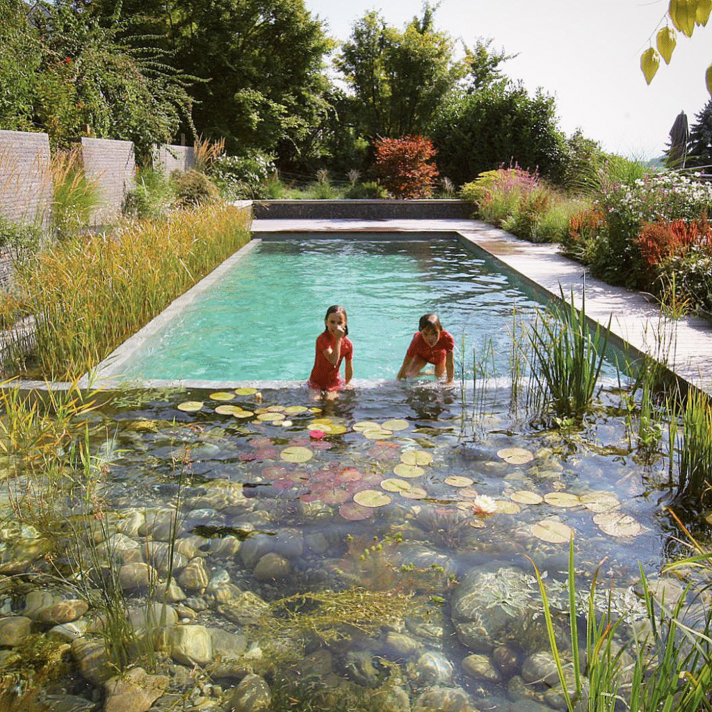 Natural DIY Swimming Pool