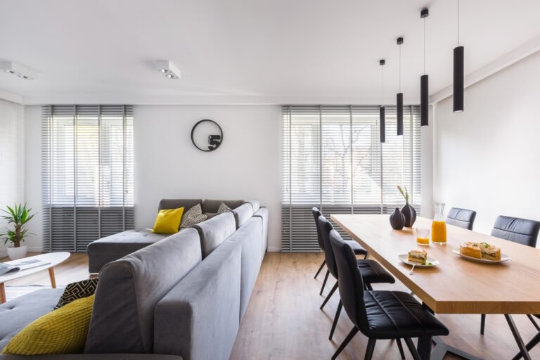 Living Room Dining Room Combo Ideas