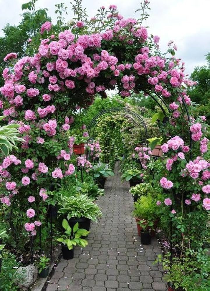 Fence Landscaping Hacks